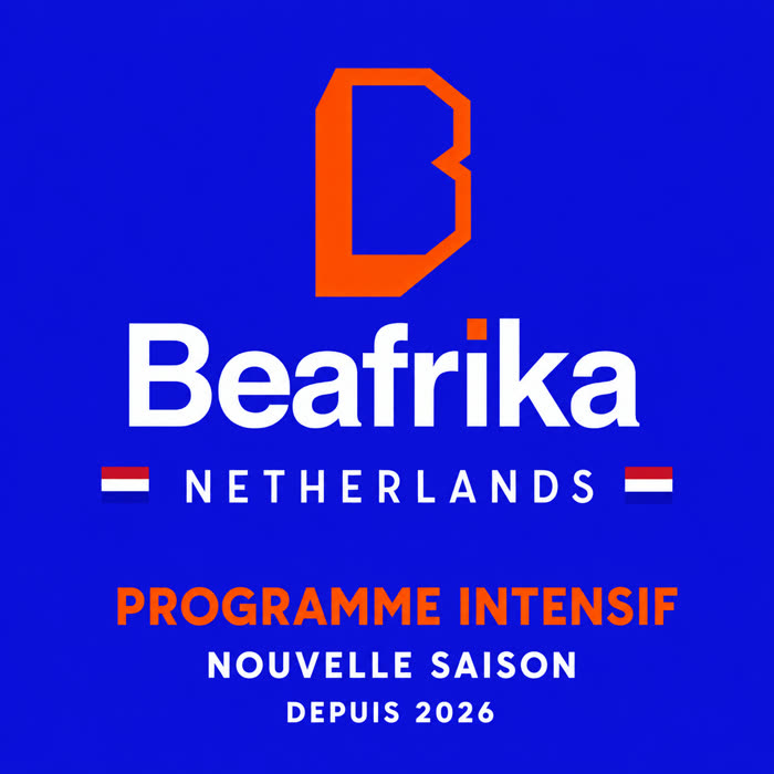 Flyer for the Beafrika Netherlands Intensive Programme